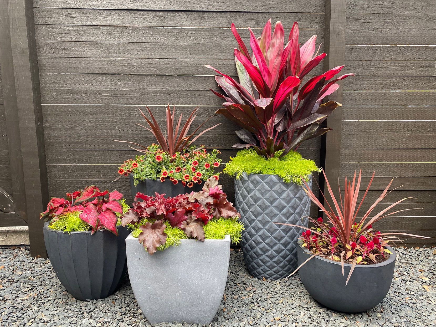 3 Idées de Pots pour un Patio Jardin Magnifique