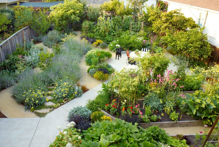 Créer un Jardin Sensoriel : 3 Conseils d'Experts