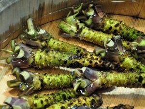 Cultiver et entretenir le wasabi, le légume avancé aux saveurs piquantes