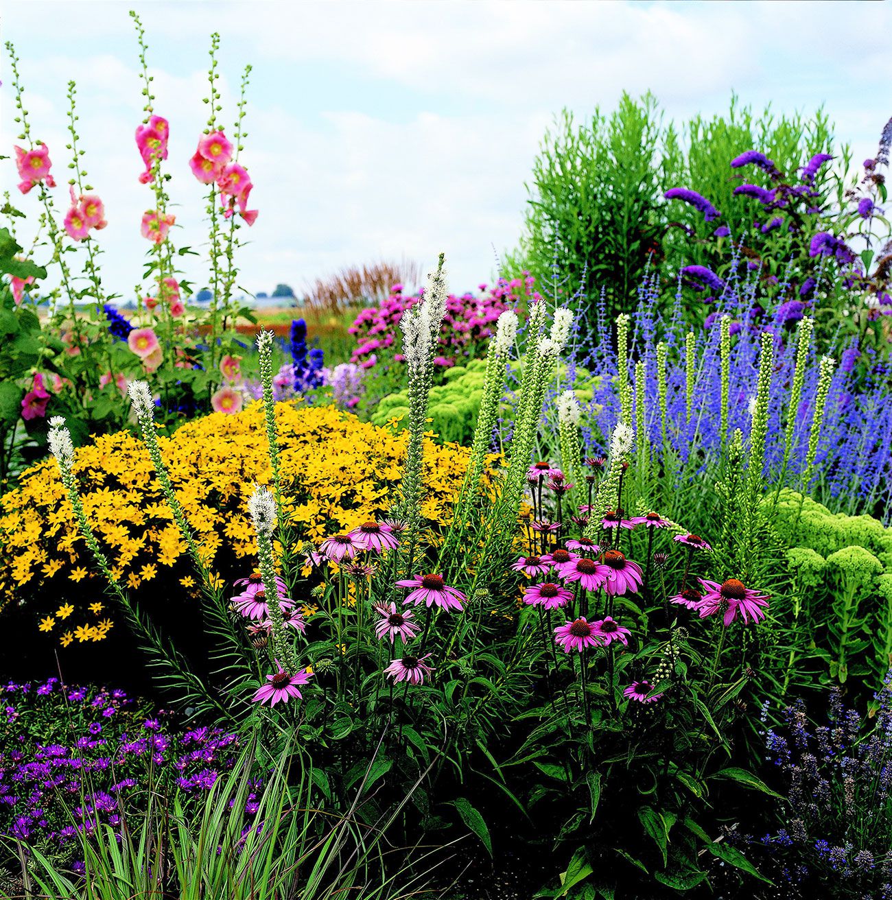 Plan Jardin Plein Soleil pour un Extérieur Haut en Couleurs