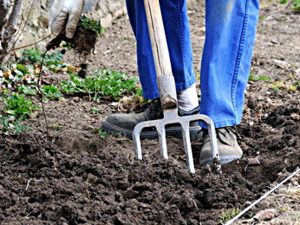 Protéger votre potager en hiver: astuces Sol