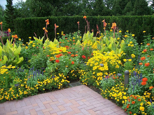 Variations en jaune pour un jardin lumineux