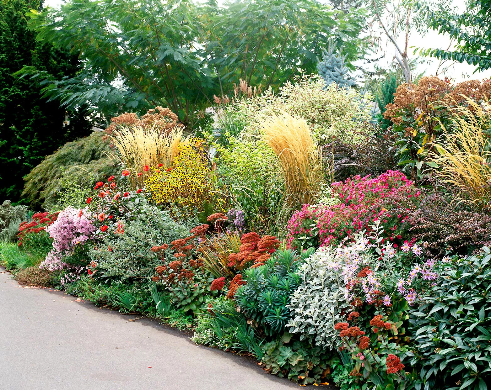 Plan de Jardin à Faible Consommation d'Eau