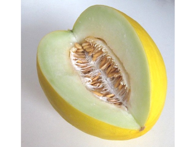 Melon jaune canari