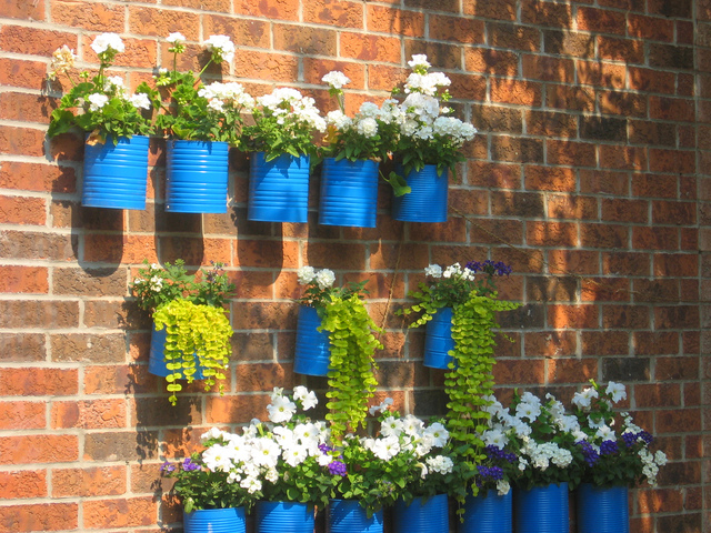 Boîtes de conserves recyclées en pots de fleurs