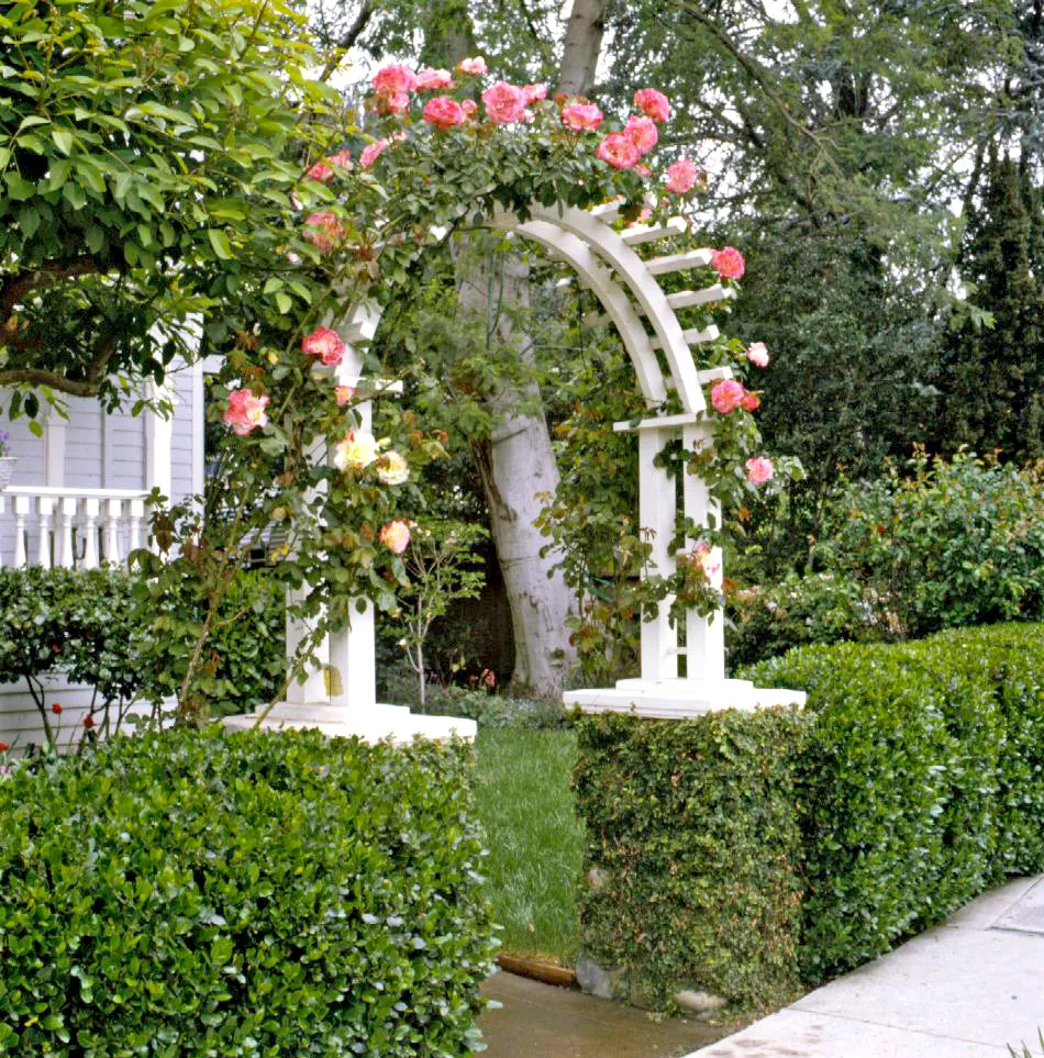 Une arche blanche couverte de fleurs devant une maison