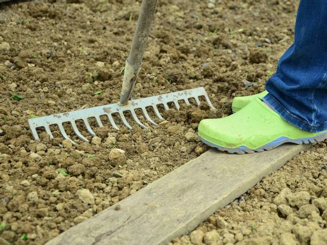 Terre de jardin travaillée au rateau