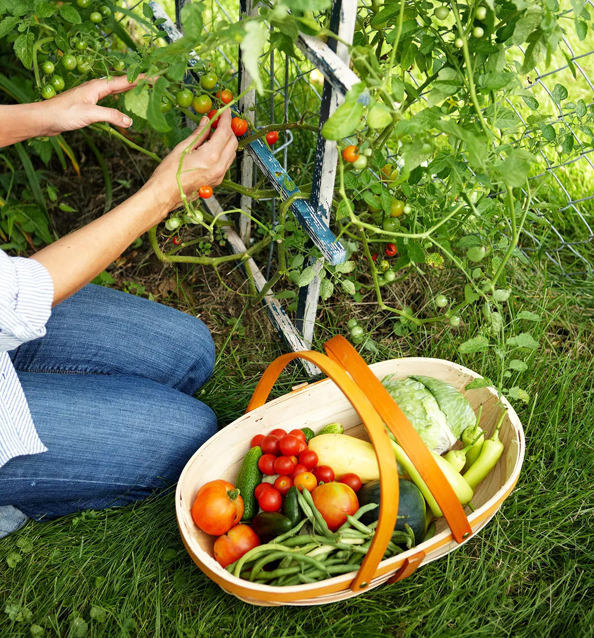 Femme récoltant des légumes dans un jardin