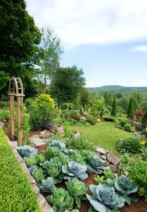 Jardin Mixte: Légumes et Fleurs en Harmonie Parfaite