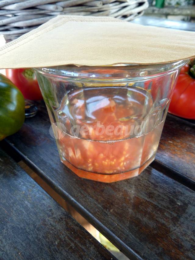 Graines de tomate dans le bocal rempli d'eau
