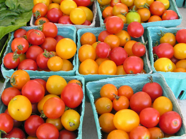 Tomates cerise variées