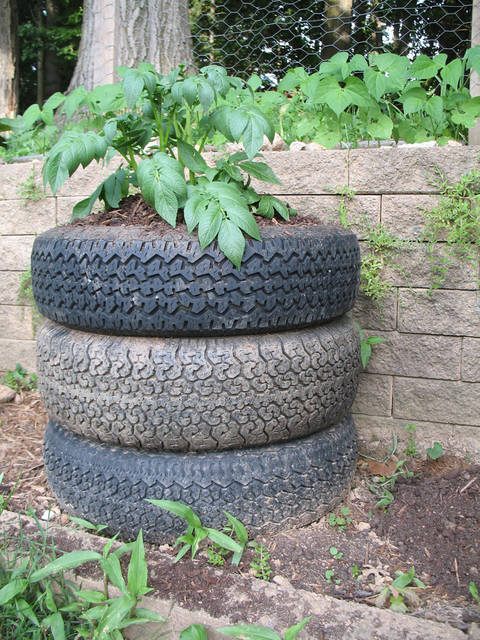 Tour à pomme de terre en pneus