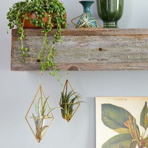 Découvrez 22 porte-plantes suspendus DIY pour votre intérieur