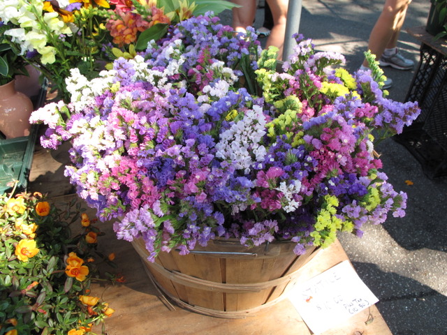 Bouquet de statices de différentes couleurs