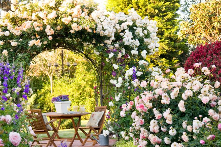 Choisir les meilleures roses pour un jardin épanoui