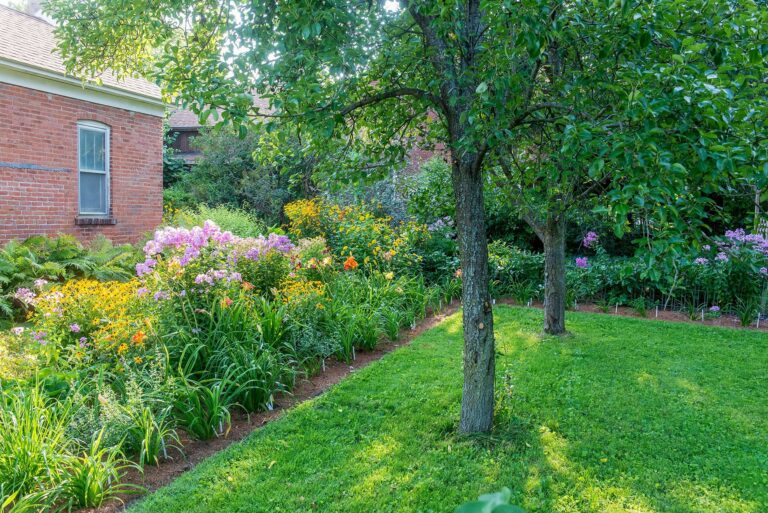 Comprendre la lumière de votre jardin pour bien planter