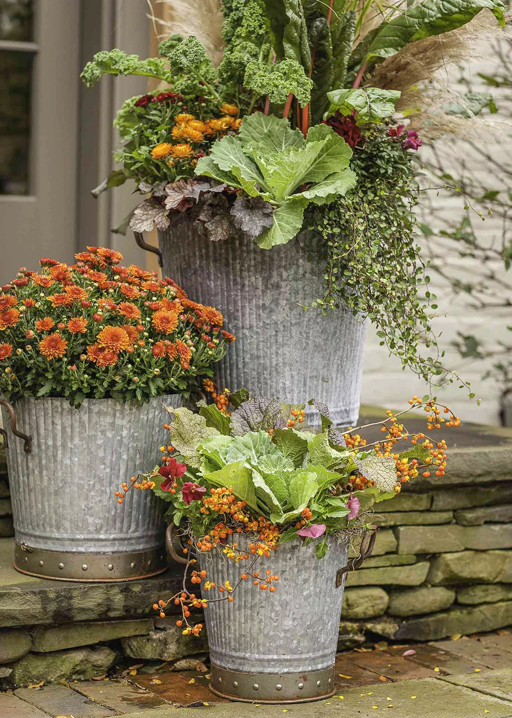 arrangements de chrysanthèmes et de choux dans des seaux en métal près de la porte