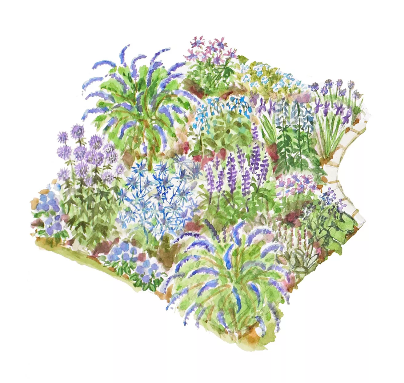 Blues Garden Plan