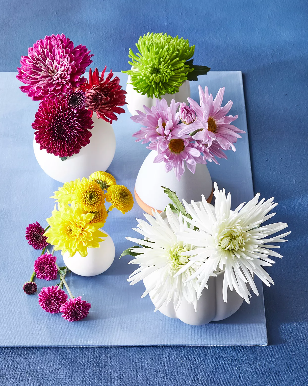 variétés de chrysanthèmes coupés dans des vases