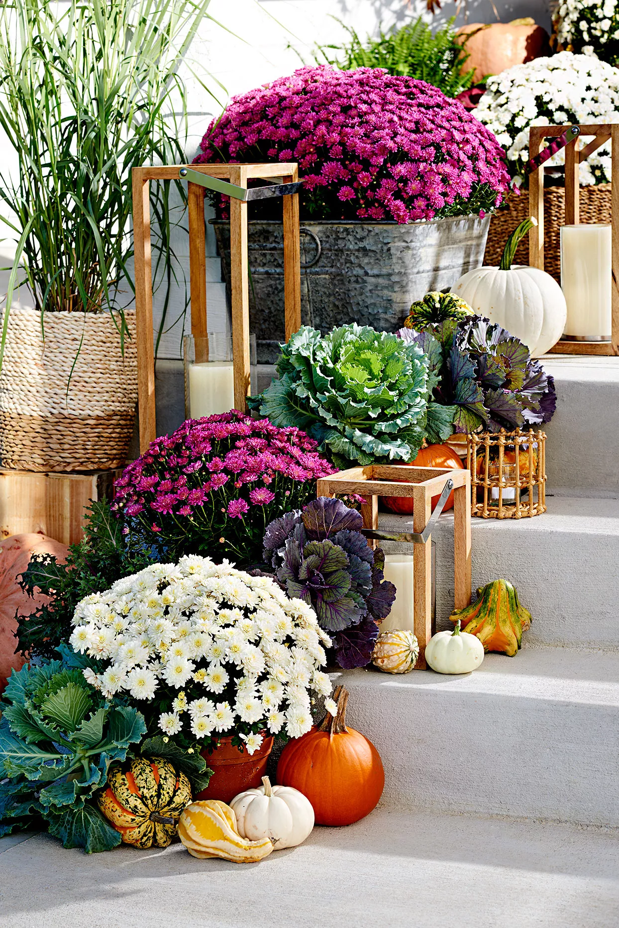 décoration sur des marches avec des chrysanthèmes, du chou, des herbes, des gourdes et des citrouilles