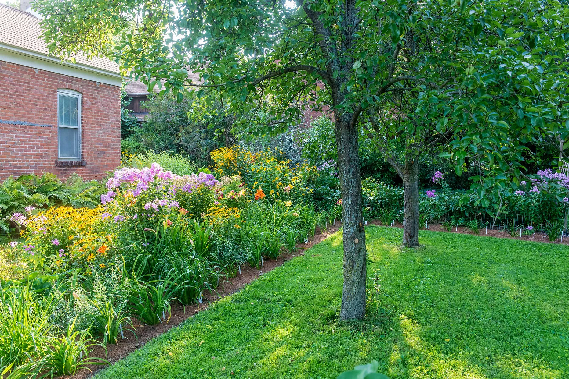 jardin verdoyant avec un parterre de fleurs entourant le périmètre