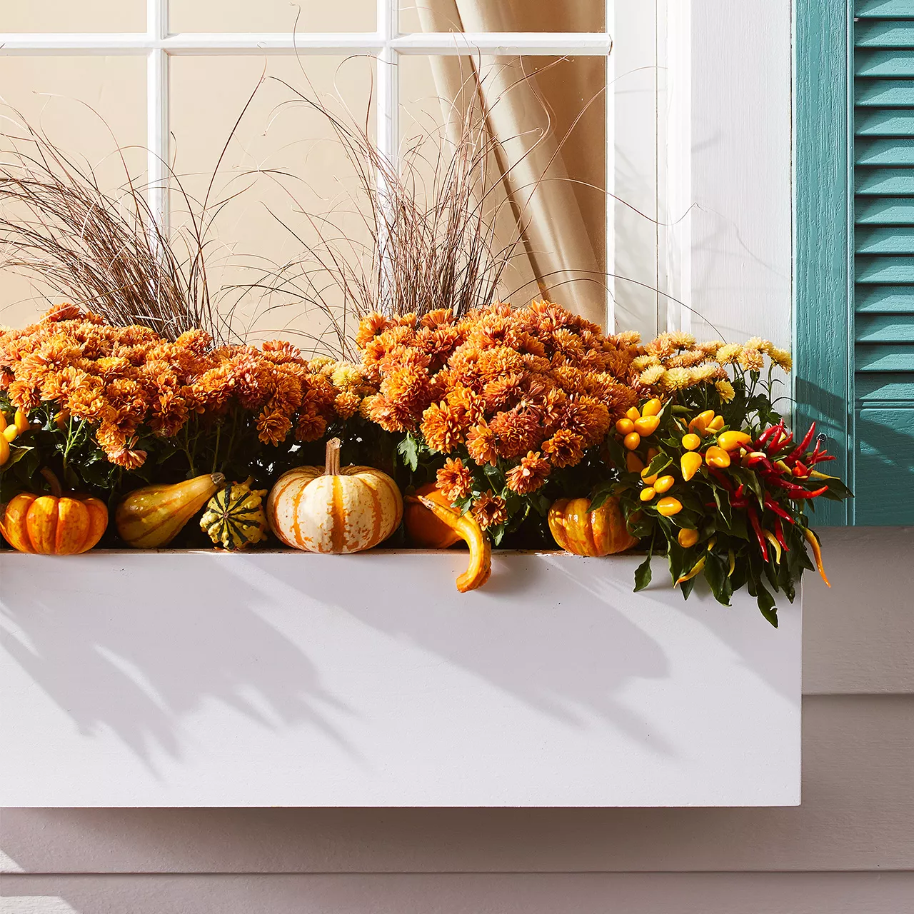 boîte à fenêtre d'automne orange avec des chrysanthèmes orange et des mini citrouilles