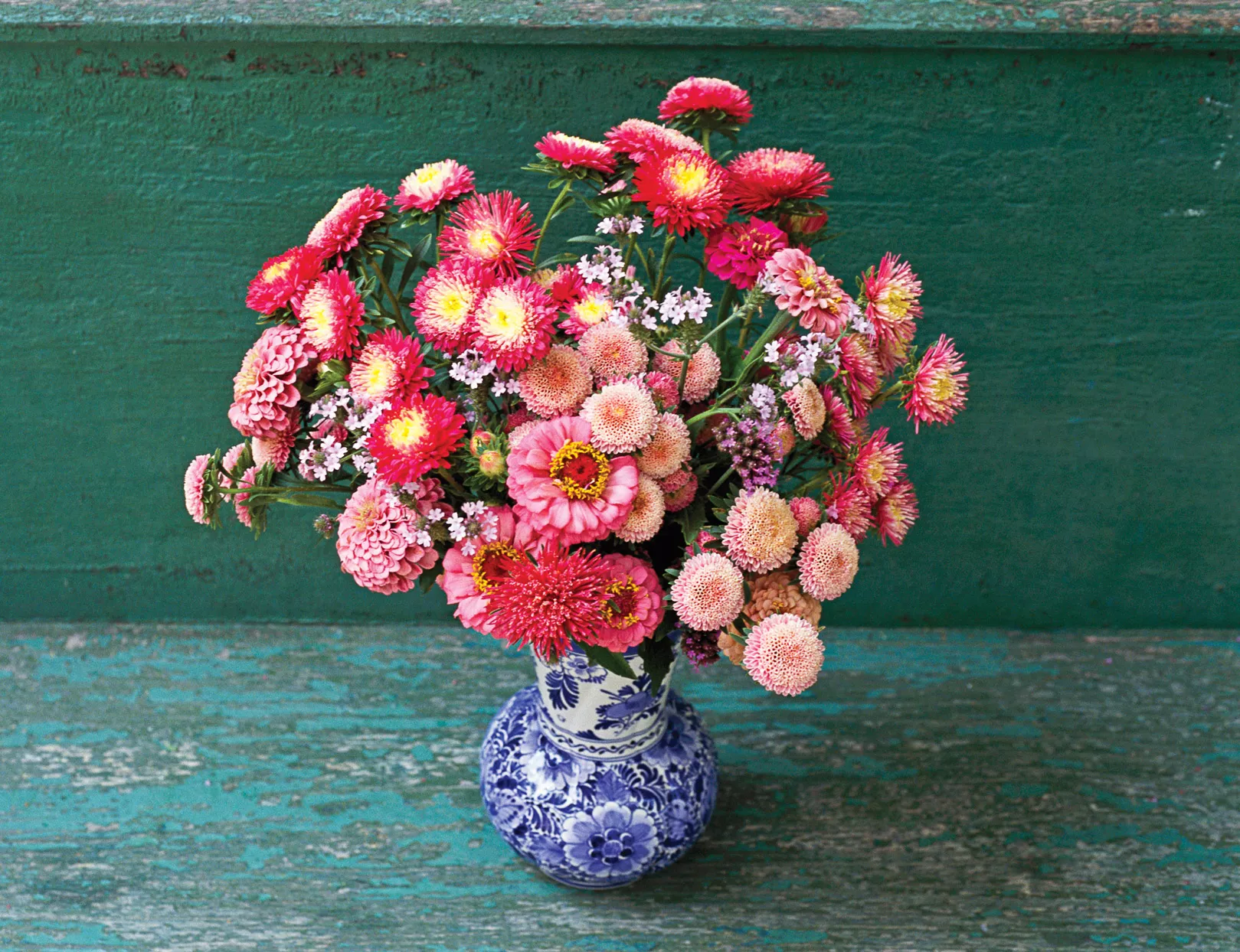 arrangement de fleurs zinnia rose et rouge dans un vase en porcelaine bleu et blanc