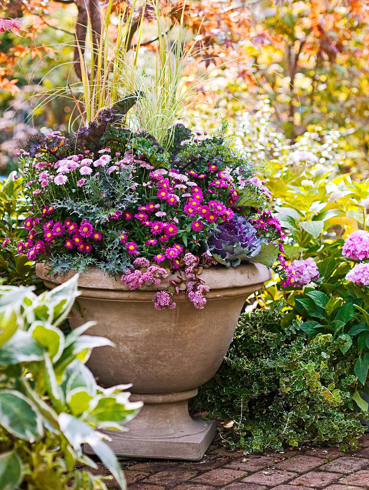 planter of mum variety fall flower garden