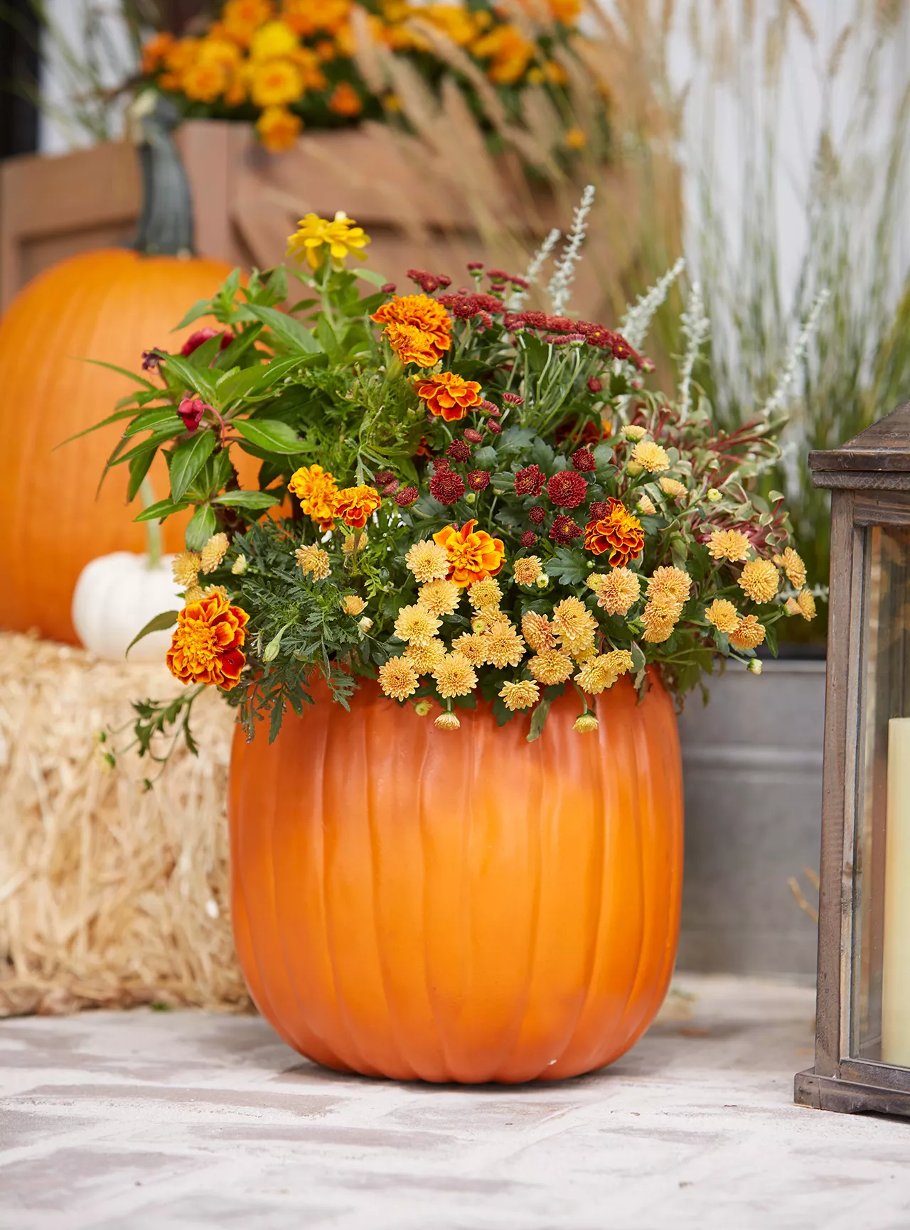 citrouille avec des chrysanthèmes d'automne